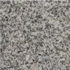 asg061