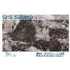 Gris Salome