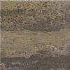 polished veine cut 2