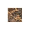Arihant Rainforest Gold