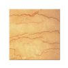 Dragon Beige