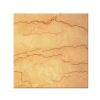 Dragon Beige