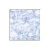 Fiore Biano La Media - RD-DLS-008