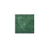 India Green Light