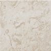 JURRASIC BEIGE