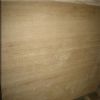 LIGHT TRAVERTINE VEIN CUT