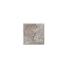 M058 Temple Gray