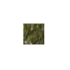 M068 Dandong Green