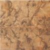 N001-4 Amur Tiger Marble