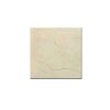 New Sahara Beige