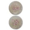 Marble Plate Set