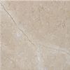 REGAL BEIGE SPOTY