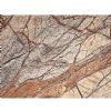 Rainforest Brown