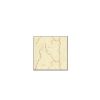 Shell Beige