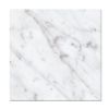 Venata White