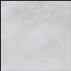 White Oyster