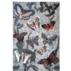 Mosaic butterfly
