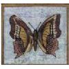 Mosaic butterfly