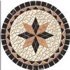 hcm-mosaic20