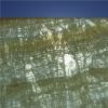 Panel Backing - Translucent