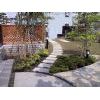 Pavers, Treads of Entrance