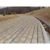 Paving Stone 1