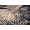 Paving Stone 5