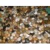 Pebble/Cobblestone
