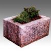 Plant Pot