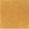 Polished Sandstone