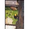Rope Access with Experienced Staff