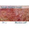 Rouge Breche Levan