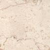 Shell Beige