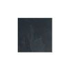 Black Slate Natural