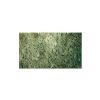 Premium Green Polished