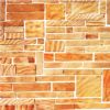 S1805 specialties