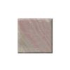 Taj Rose- Pure Pink