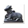 Nandi AS - 368