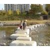 Stepping Stone 3