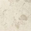 Sugar Beige