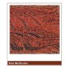 Red Multicolor Table Top