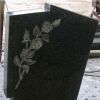 Shanxi black