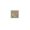Scabos Mosaics-06