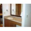 Vanity Top2