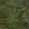 Verde Fantastic
