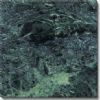 Green Marble