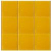 Glass Mosaic(P1000918)