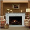 Fireplace -FP025