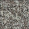 Granite Tiles -G664