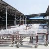 Granite Tiles